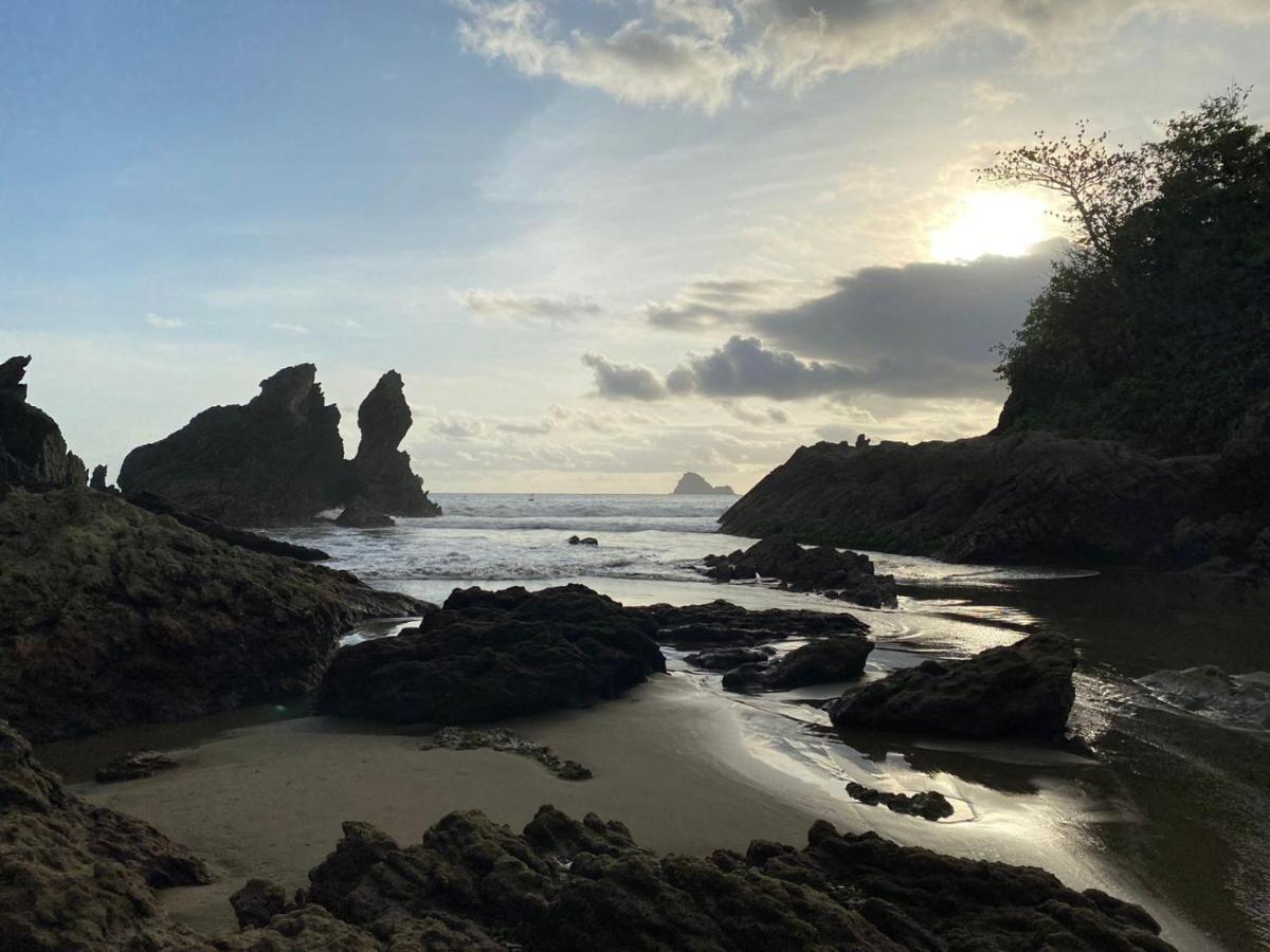 Adventure Turtle Homestay Meru Betiri Sarungan Extérieur photo