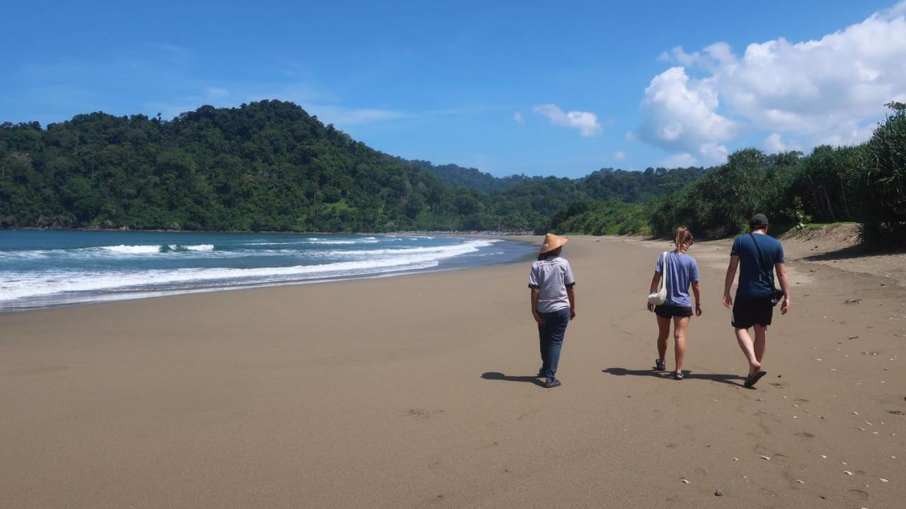 Adventure Turtle Homestay Meru Betiri Sarungan Extérieur photo