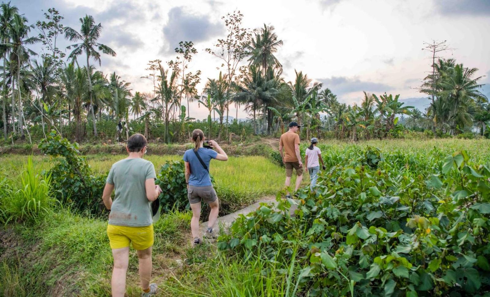 Adventure Turtle Homestay Meru Betiri Sarungan Extérieur photo