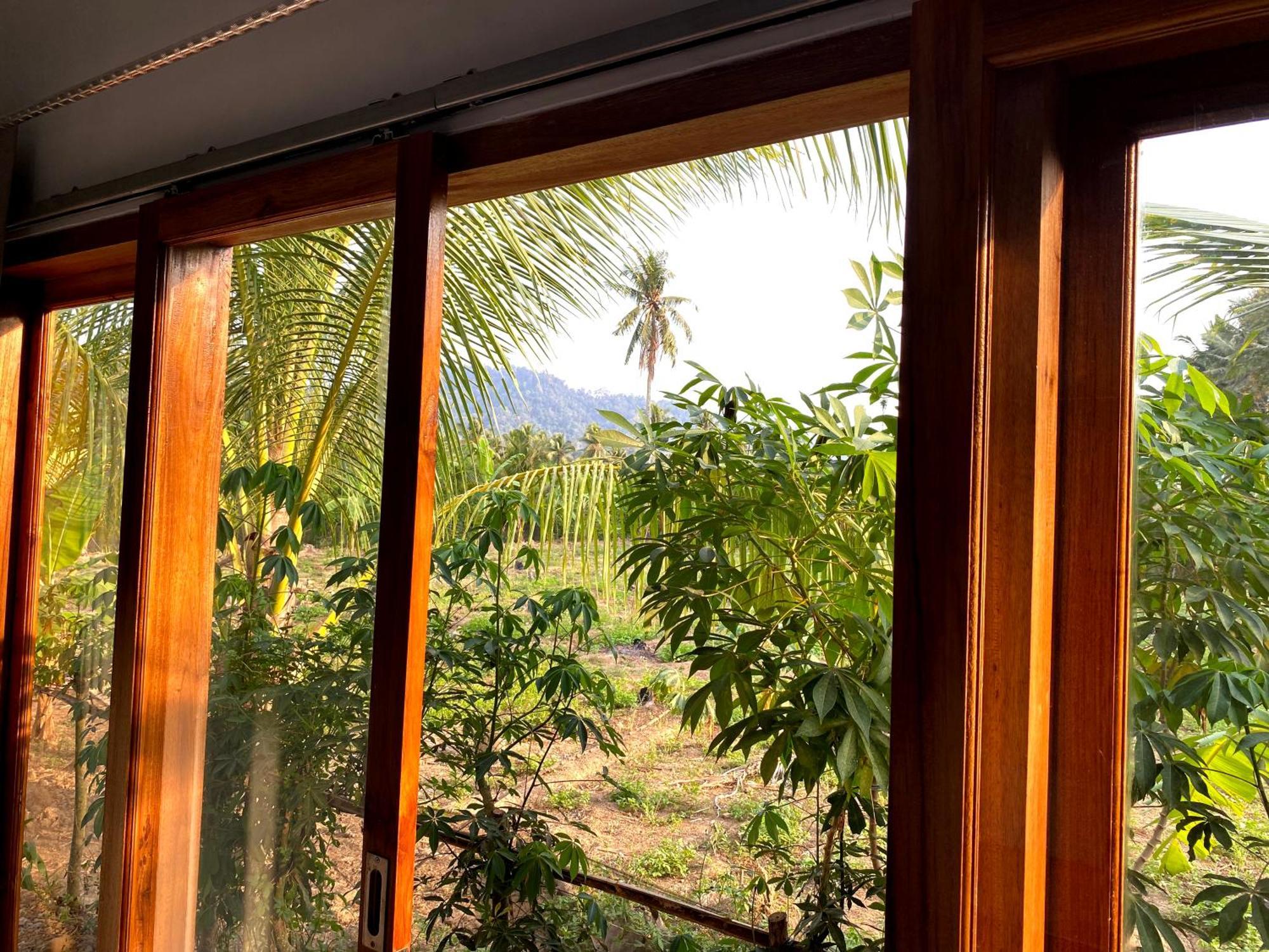 Adventure Turtle Homestay Meru Betiri Sarungan Extérieur photo