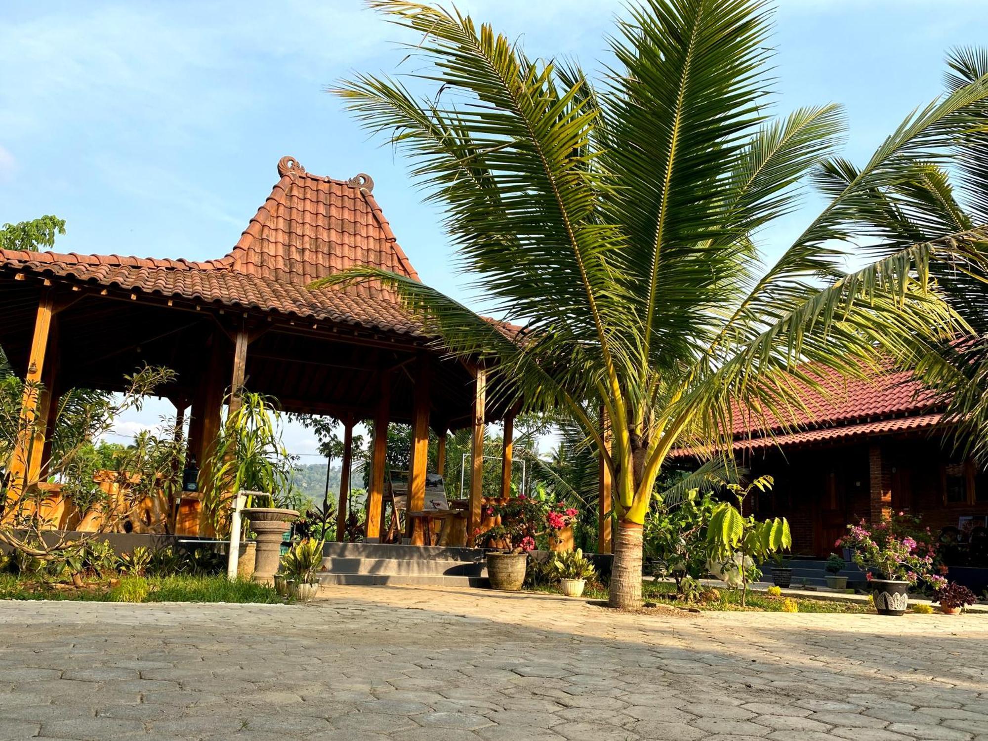 Adventure Turtle Homestay Meru Betiri Sarungan Extérieur photo